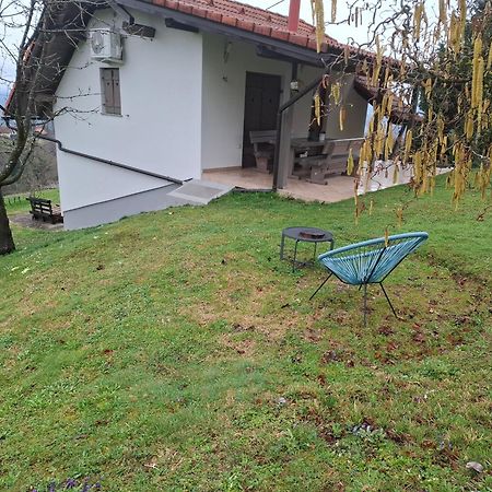Vineyard Cottage Klemencic โนโวเมสโต ภายนอก รูปภาพ