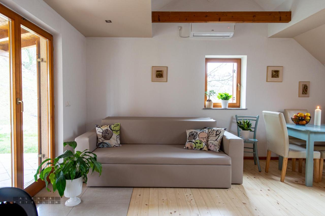 Vineyard Cottage Klemencic โนโวเมสโต ภายนอก รูปภาพ