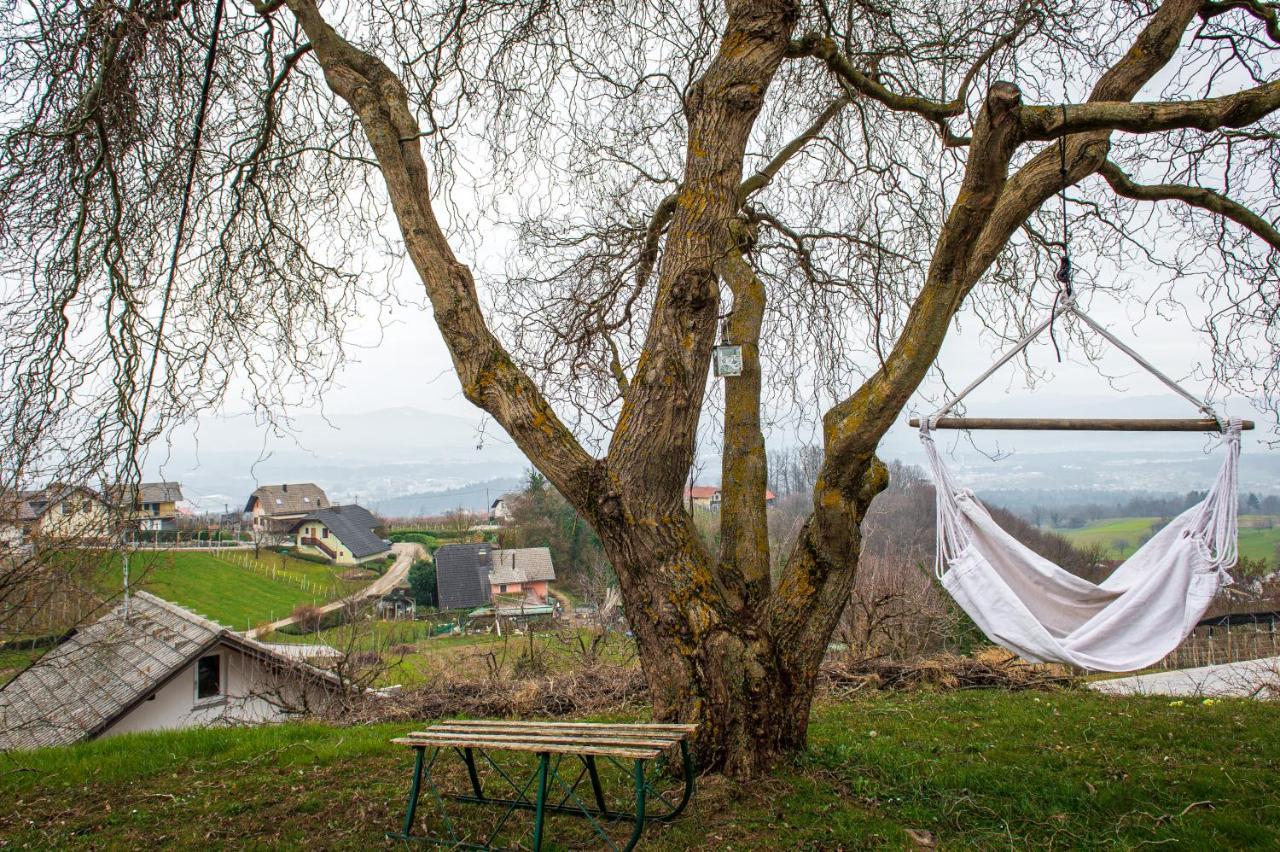 Vineyard Cottage Klemencic โนโวเมสโต ภายนอก รูปภาพ