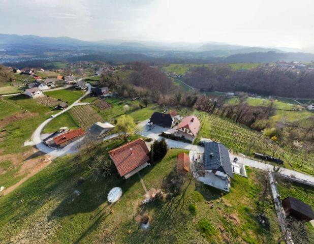 Vineyard Cottage Klemencic โนโวเมสโต ภายนอก รูปภาพ