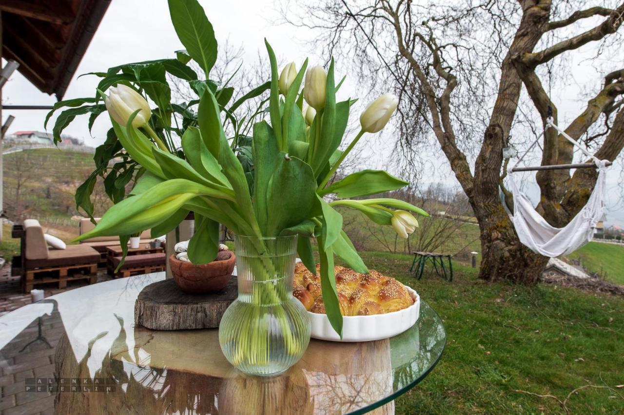 Vineyard Cottage Klemencic โนโวเมสโต ภายนอก รูปภาพ