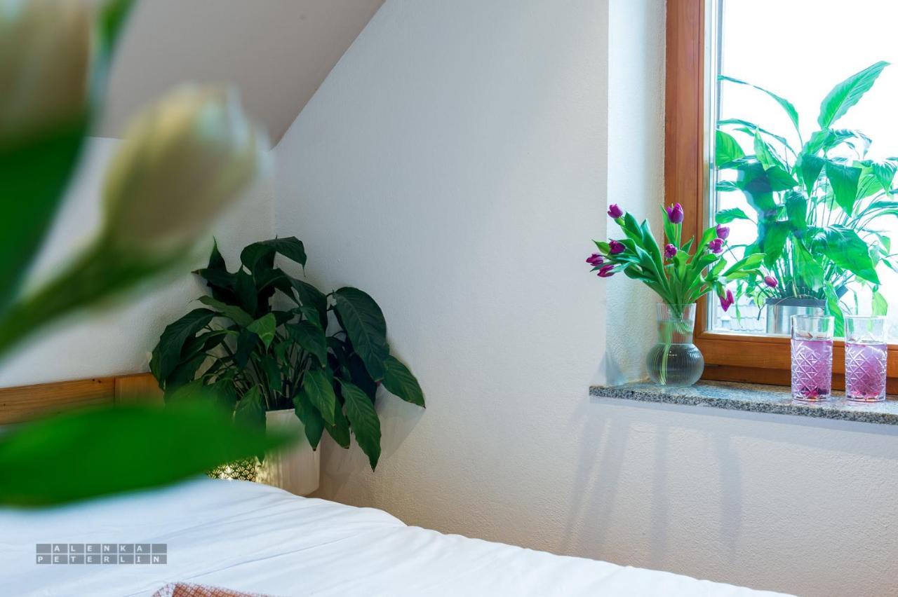 Vineyard Cottage Klemencic โนโวเมสโต ภายนอก รูปภาพ