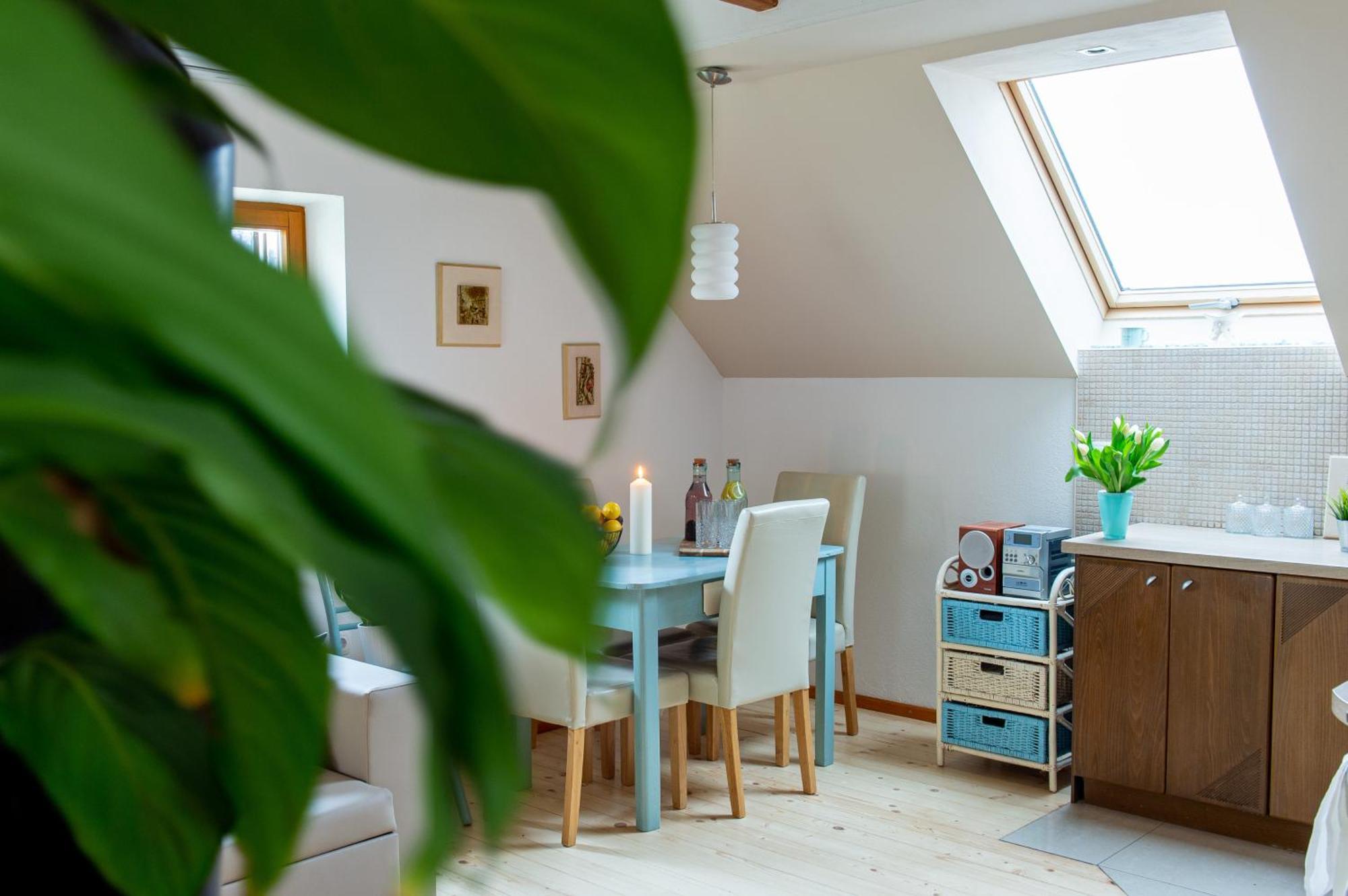 Vineyard Cottage Klemencic โนโวเมสโต ห้อง รูปภาพ