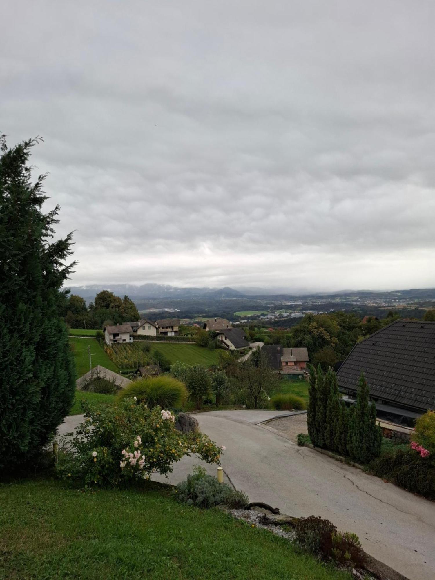 Vineyard Cottage Klemencic โนโวเมสโต ภายนอก รูปภาพ