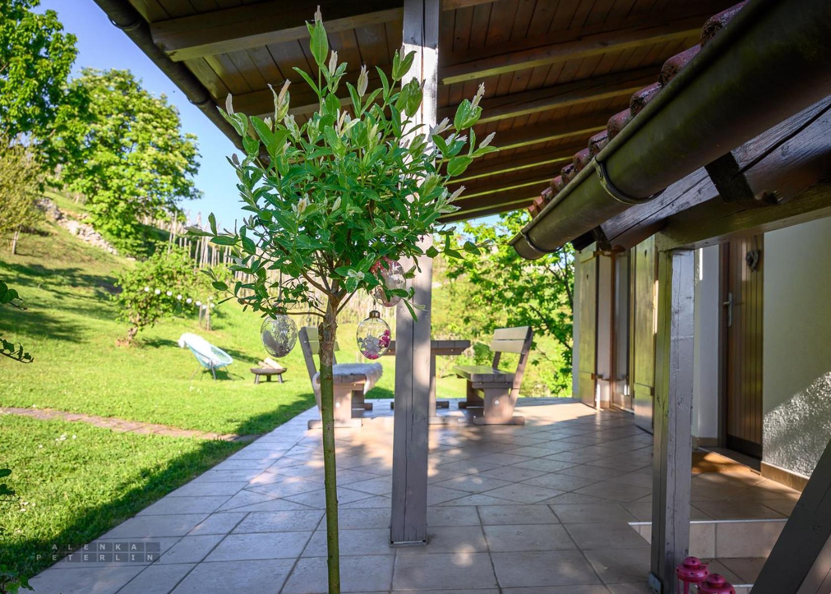 Vineyard Cottage Klemencic โนโวเมสโต ภายนอก รูปภาพ